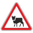 �������� ���� 1.26 �������� ����� (������ 0,8 ��, I ����������: ������� 700 ��, �/� ������: ��� � ������������)
